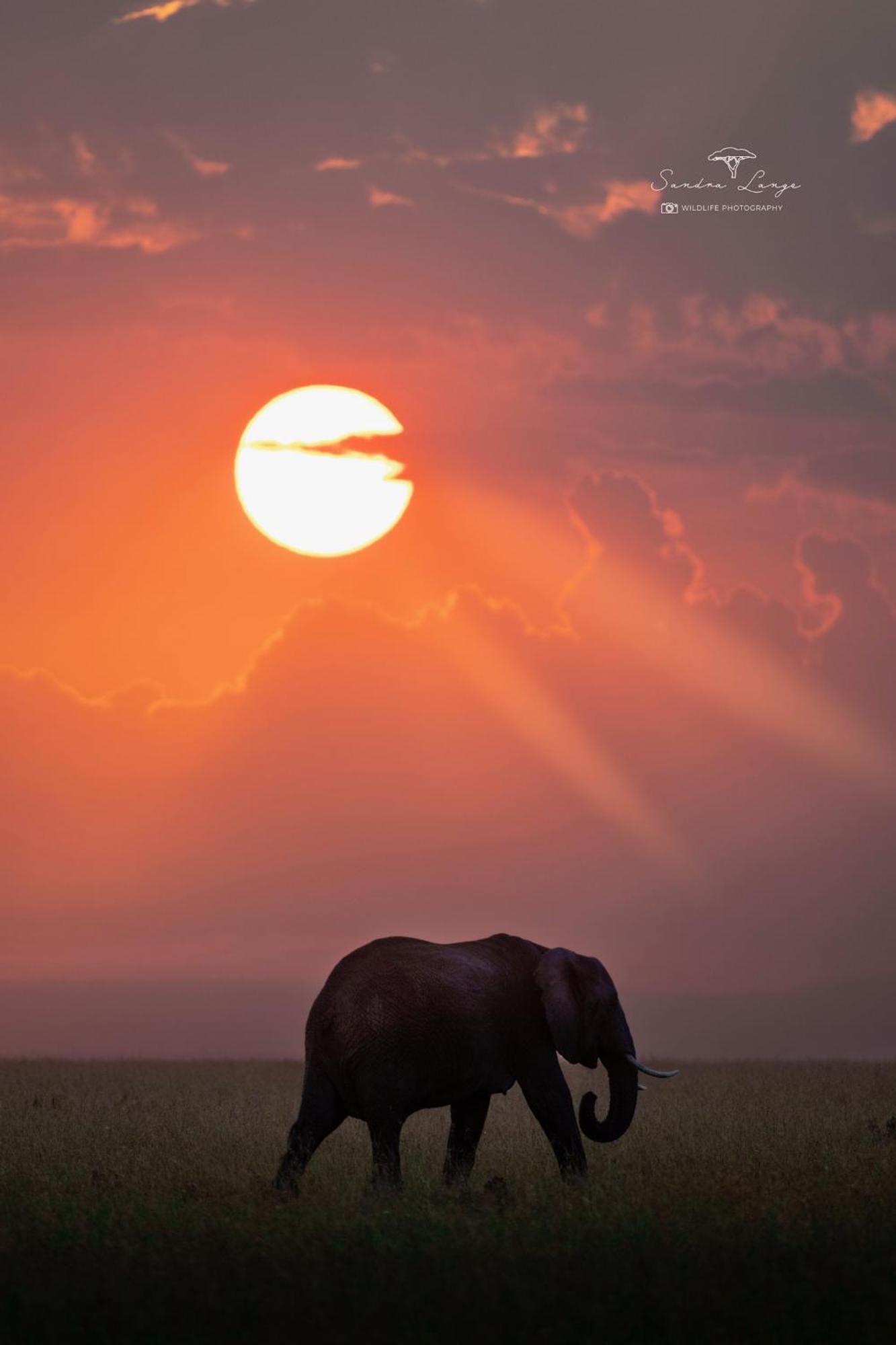 Olkinyei Mara Tented Camp Talek Екстериор снимка
